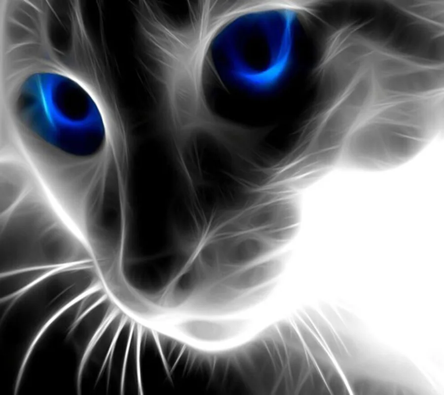 Full Drill Black White Cat Diamond Embroidery Mosaic Animals Painting