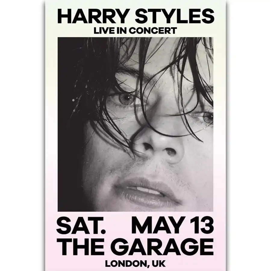 Live on Tour 2018 Music Concert Poster Art HARRY STYLES