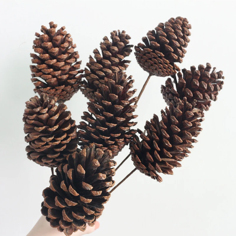 JAROWN Wooden Decoration Dried Pine Nuts Pine Cones For Christmas Holiday DIY Party Ornament Home Office Decor Supplies (10)