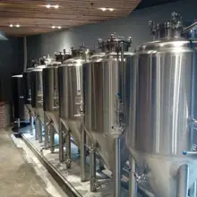 Конический ферментатор из нержавеющей стали 1 BBL/2 BBL/3 BBL/Unitank Jacketed with Top Manway