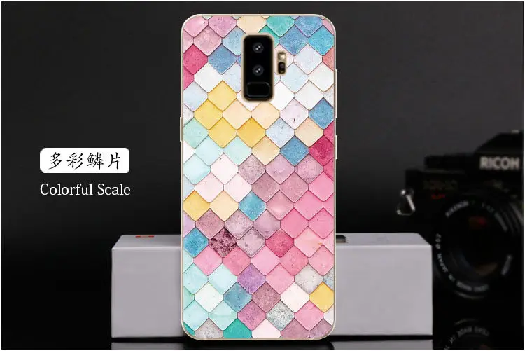  Colorful Scale