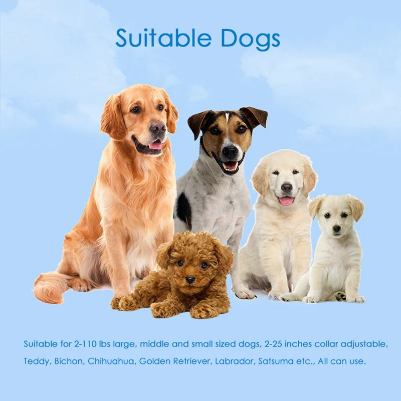 suitable dogs(1)