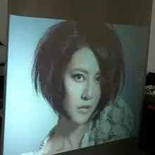 

Low Price! Dark grey color rear projection film,self adhesive rear projection screen film,1/sqm