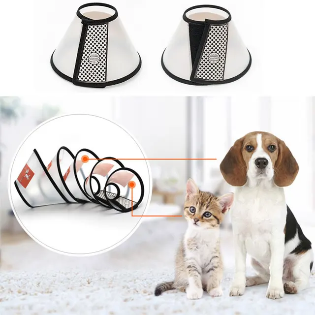 Pet Dog Cat Elizabethan Collars Wound Healing Remedy Recovery