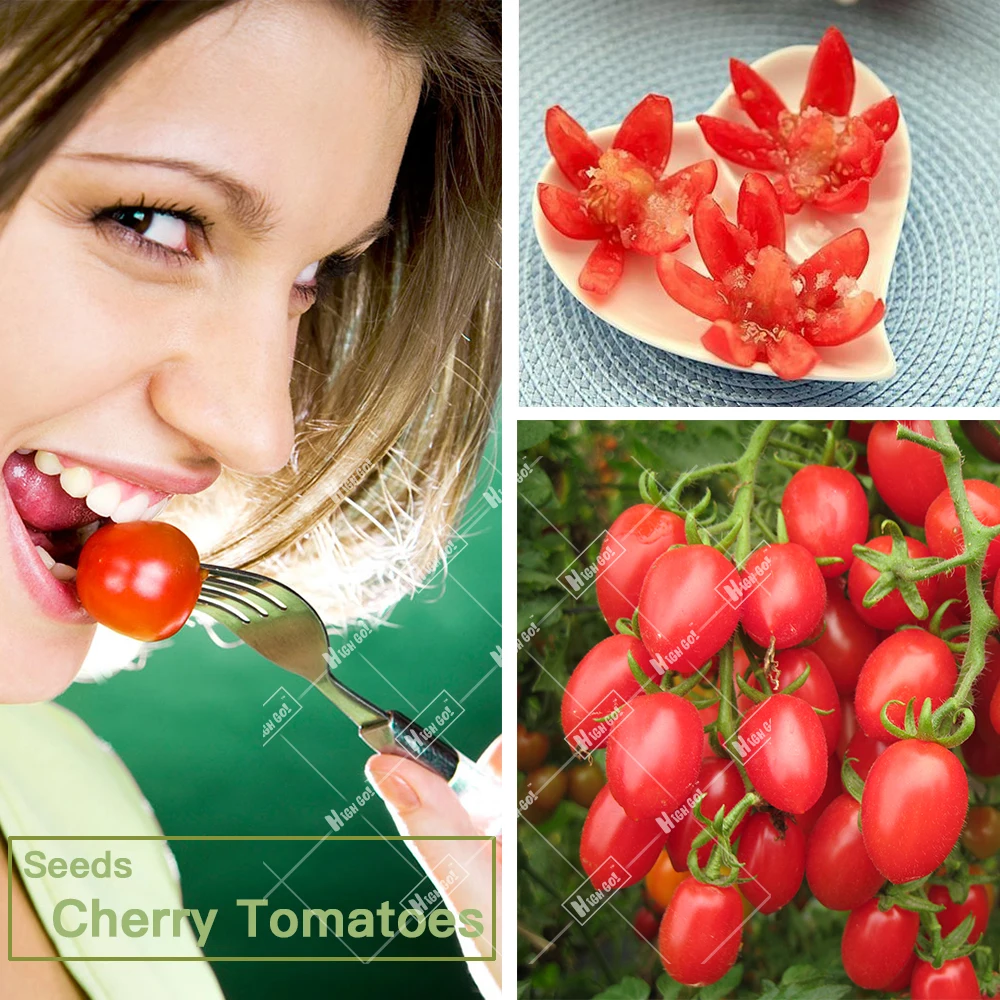 Small Mini Red Friut Mini Tomato Cherry Tomatoes Seeds Garden Supplies
