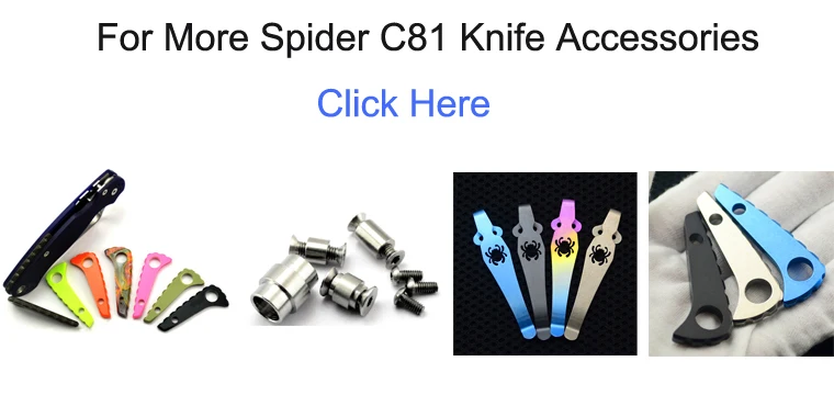 C81
