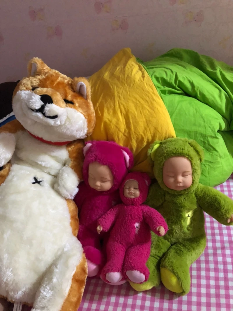 Japan Anime Shiba Inu Plush Dog Toy Giant Animals Dog Doll Toys Strips Nap Pillow for Children Friend 80cm 31inch DY50414 (4)