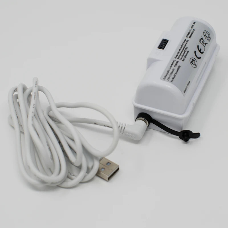 816A0006-1