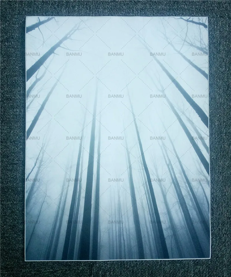 Картина скандинавский плакат Холст Живопись Домашний декор художественные принты высокие деревья лес природные настенные картины гостиная художественное украшение