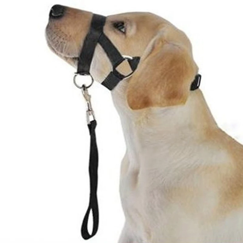 

Gentle Halter Leash Leader Stop Pulling Training Muzzles Tools Dog Pet Dog Padded Head Collar