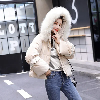 Gold Velvet Coat 5 Colors Female Short 2018 Winter New Fashion With Collar Hat Soft Beige Pink Korean Style Hot Sale | Женская одежда