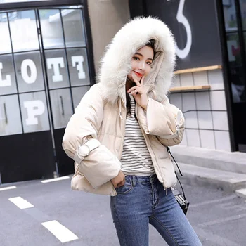 

Gold Velvet Coat 5 Colors Female Short Coat 2018 Winter New Fashion With Collar Hat Soft Beige Pink Coat Korean Style Hot Sale