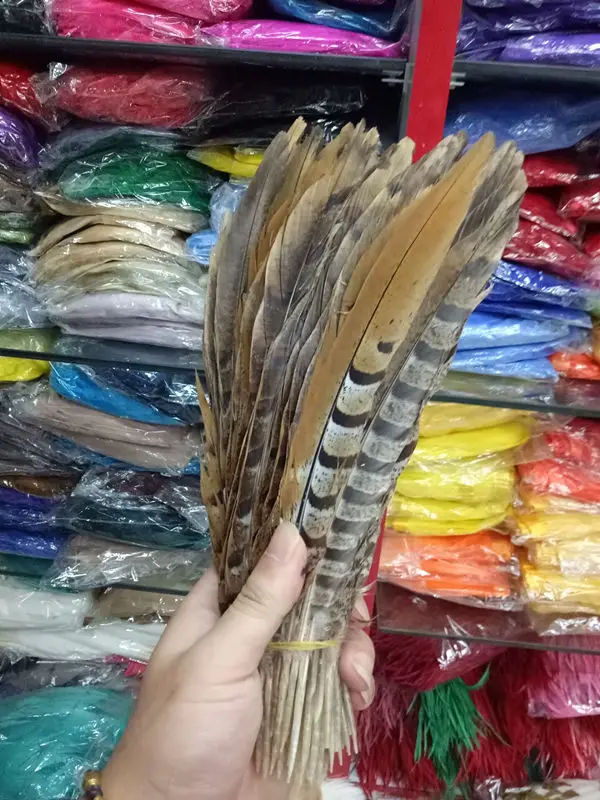 41C656A4DC9B16792C1CA537CA9617E8