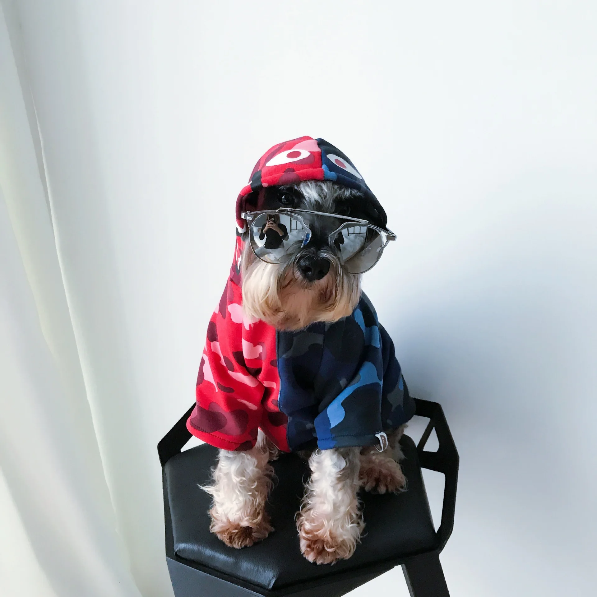 Pet Dog Shirt Clothes Teddy Schnauzer Puppy Chihuahua Hoodie Golden Retriever Winter Thicken Sweat Shirt French Bulldog Supplies