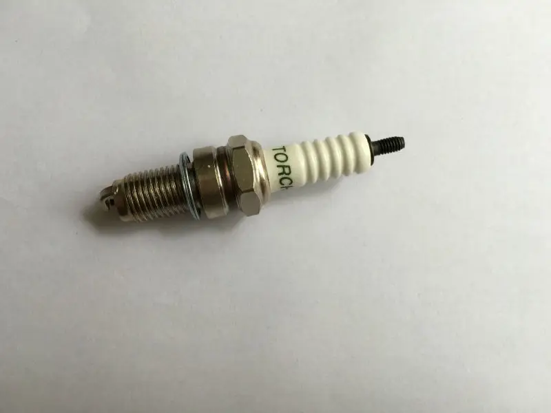 Torch D7RTC (2)