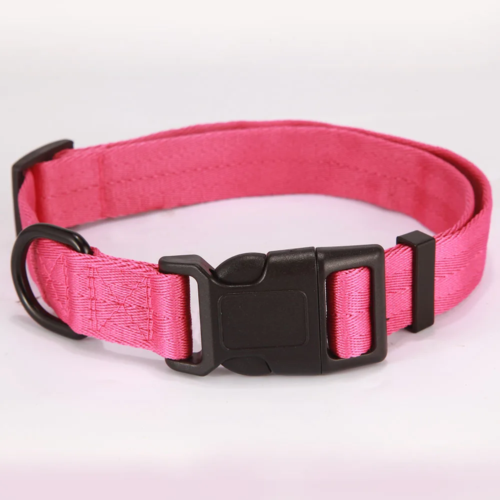 dog collar pink