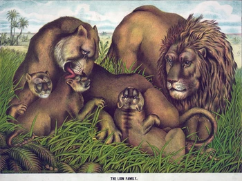 

vintage posters hand drawing prints on canvas scenery painting decorative wall art animal picture the lion family portrait