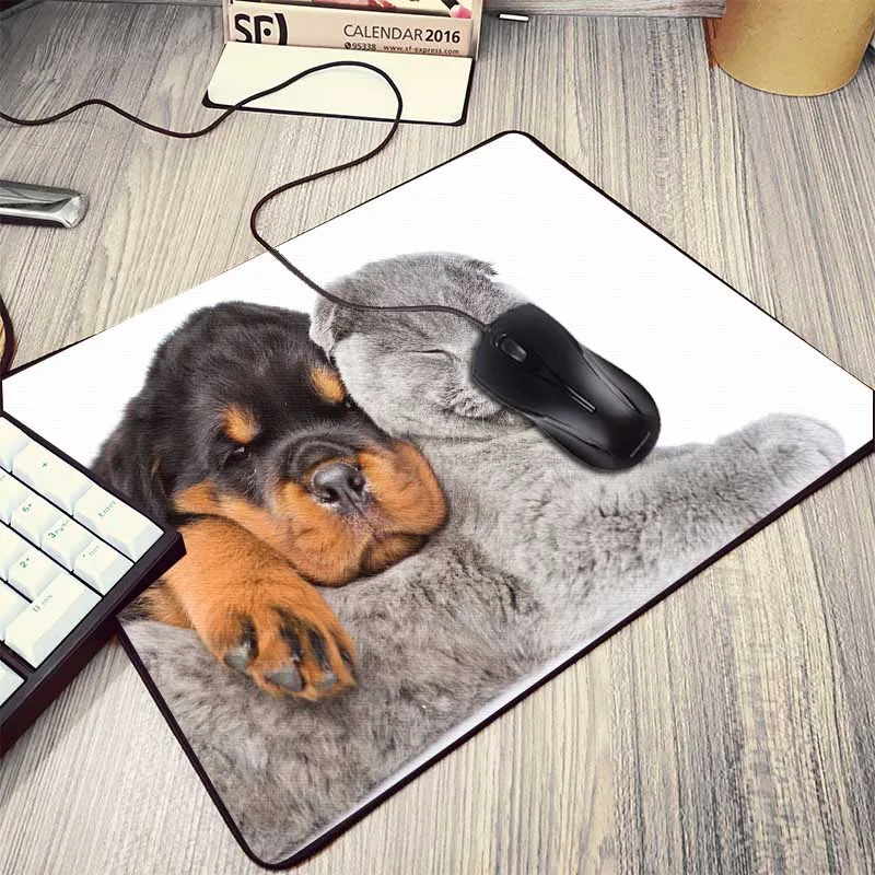 16dogs-thought-lost-dog-widescreen-wallpaper-1920x1080 (7)