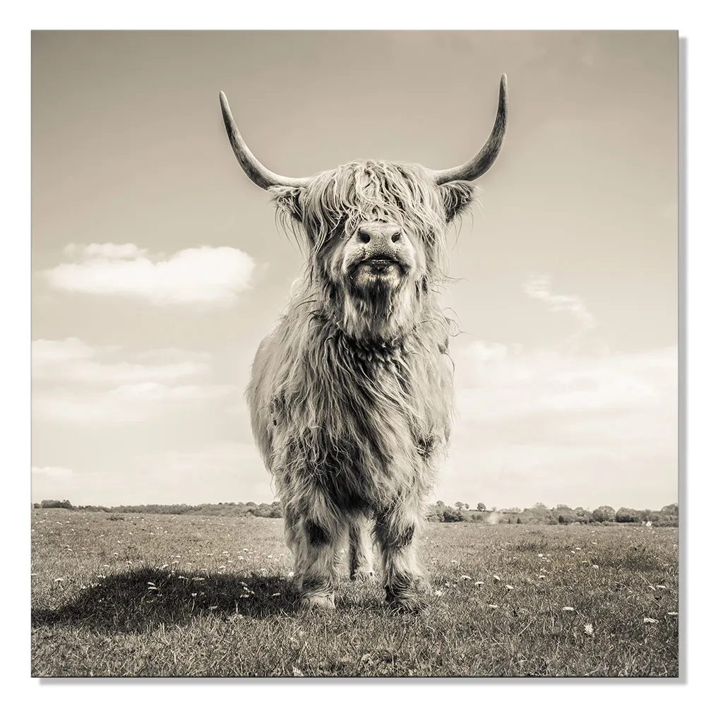 

Scandinavian Pop Art Square Nordic Animal Irish Bull Oil Painting Poster Print Paint By Number for Living Rooom Bed Room Decor