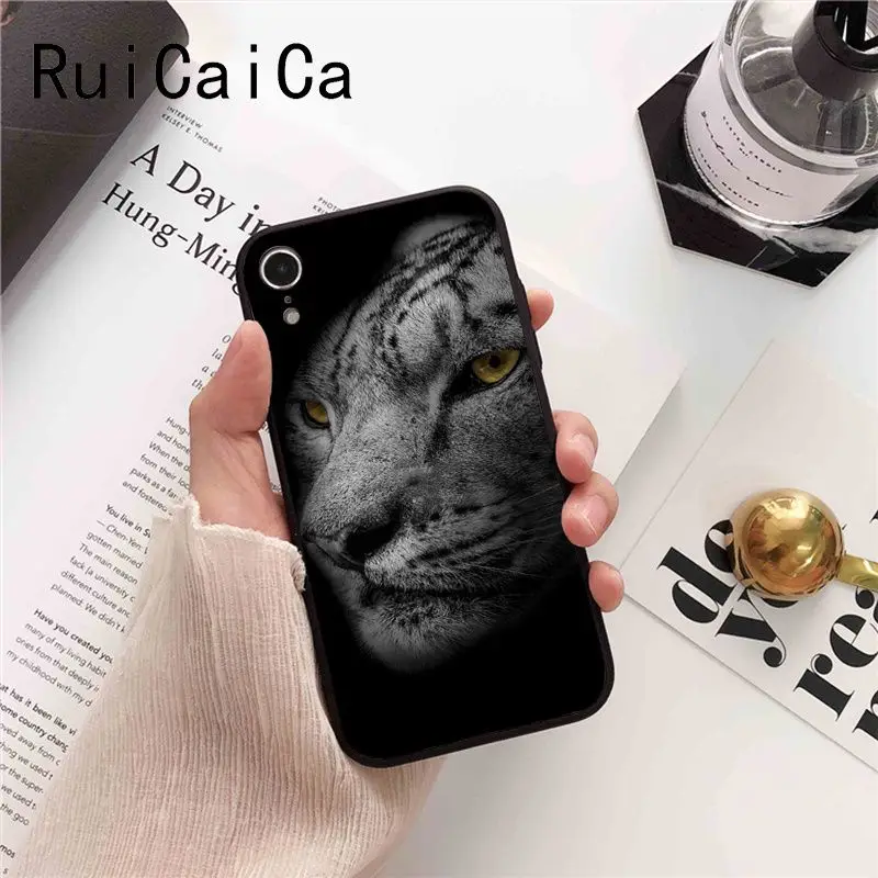 tiger fashion