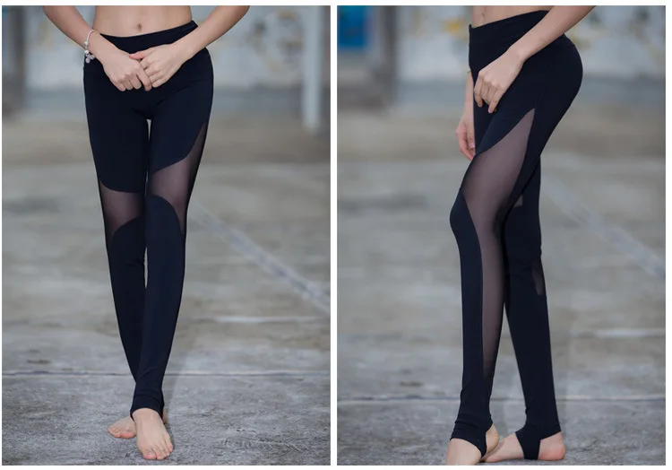 3884800312_1313617421