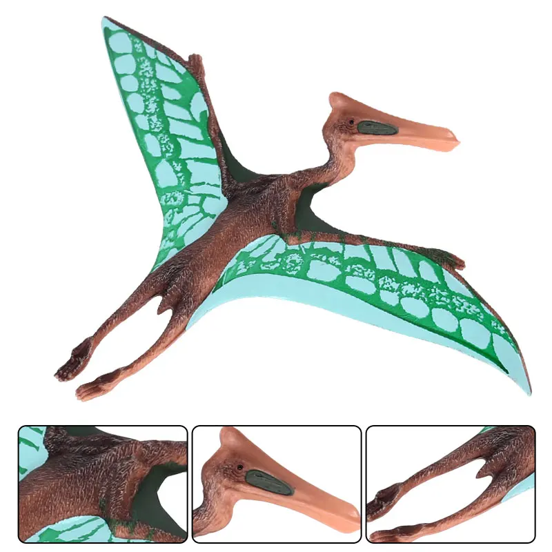 2000 Gambar Dinosaurus Pteranodon Paling Keren 2000 Gambar Dinosaurus Pteranodon Paling Keren