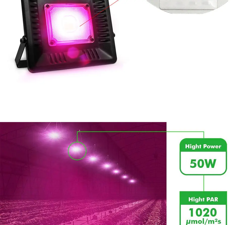 AC 110V 220V LED COB Lamp Chip 20W 30W 50W 100W 150W Full Spectrum LED Plant Grow Light Driverless Smart IC DIY LED Floodlights (16)