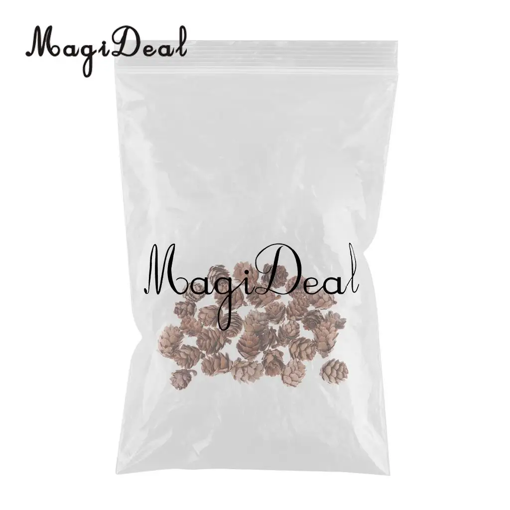  30 Pieces Mini Small Natural Dried Pine Cones In Bulk Dried Flowers for Christmas Decoration or Crafting