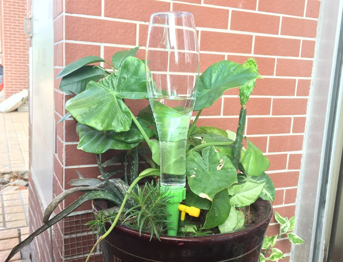 滴水器浇花详情7
