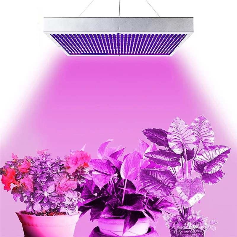 1365LED (5)