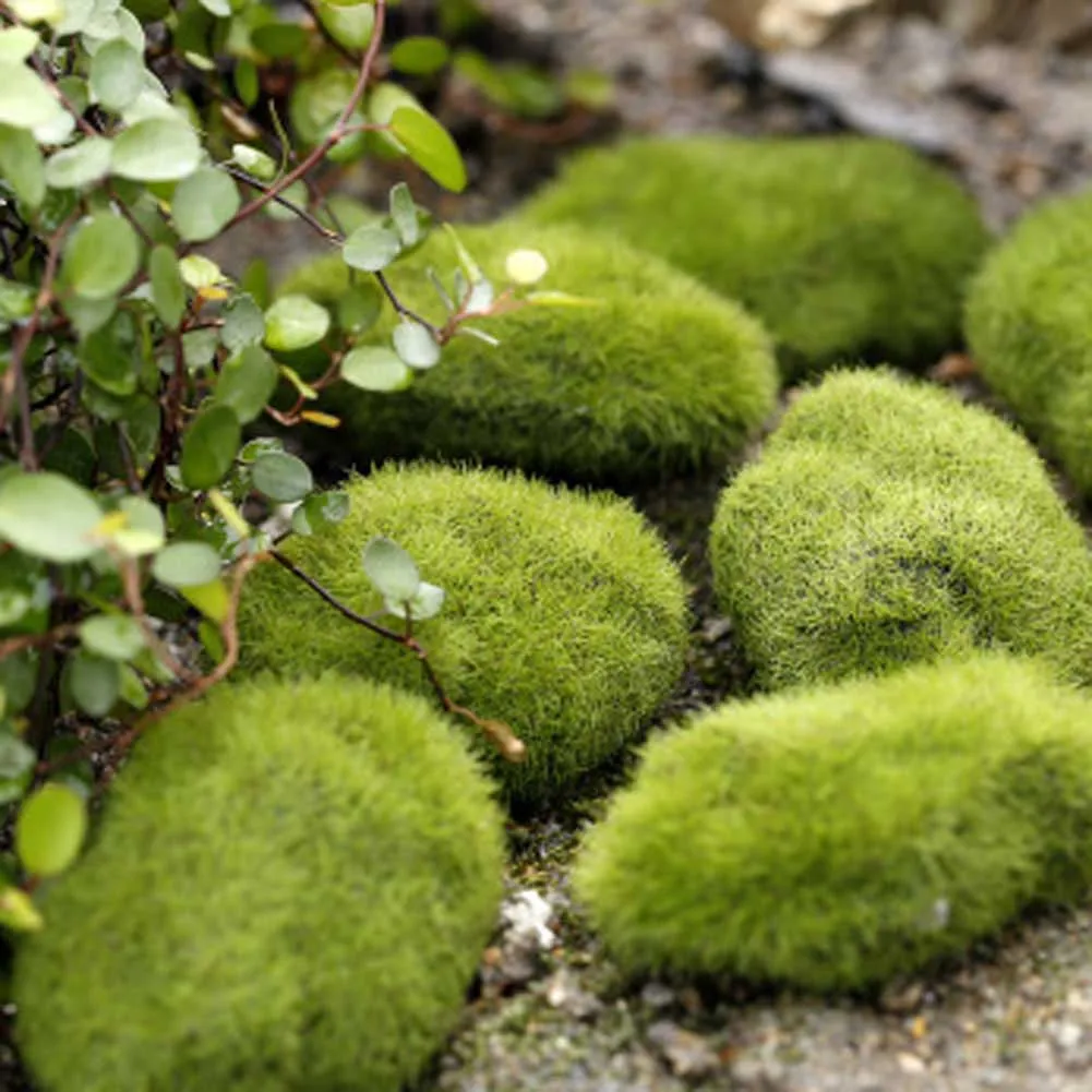 

New Artificial Fake Moss Lawn Mossy Stone Model Micro Landscape Fairy Garden Miniature Decoration Ornament