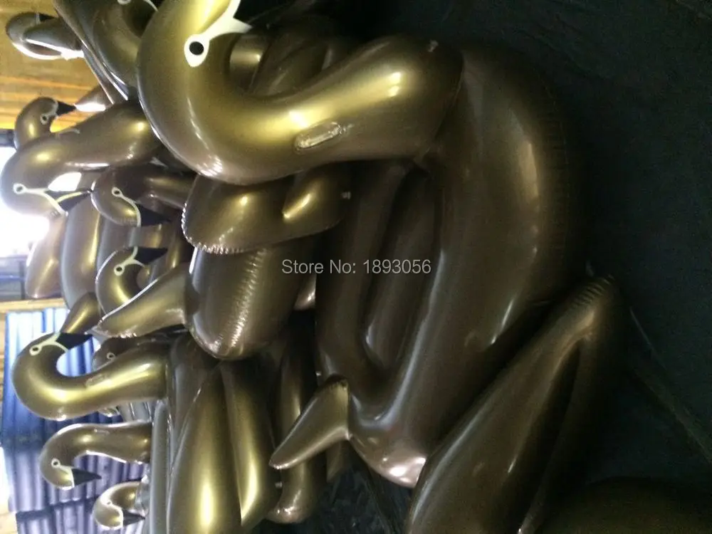 gold swans