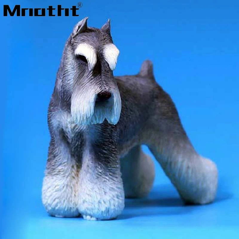 schnauzer accessories