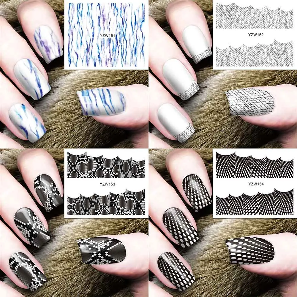 B6