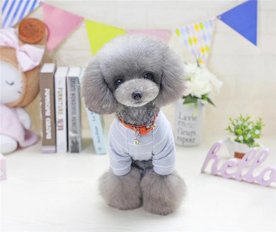Spring Summer Cotton Dog Clothes Striped Clothing for Dogs Printed Lion Chihuahua Tracksuit Pet Clothes Suit for Dogs Pets (12)