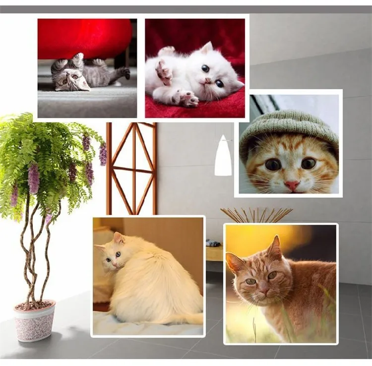 Arch Pet Cat Self Groomer With Round Fleece Base Cat Toy Brush Toys For Pets Purrfect Scratching Devices