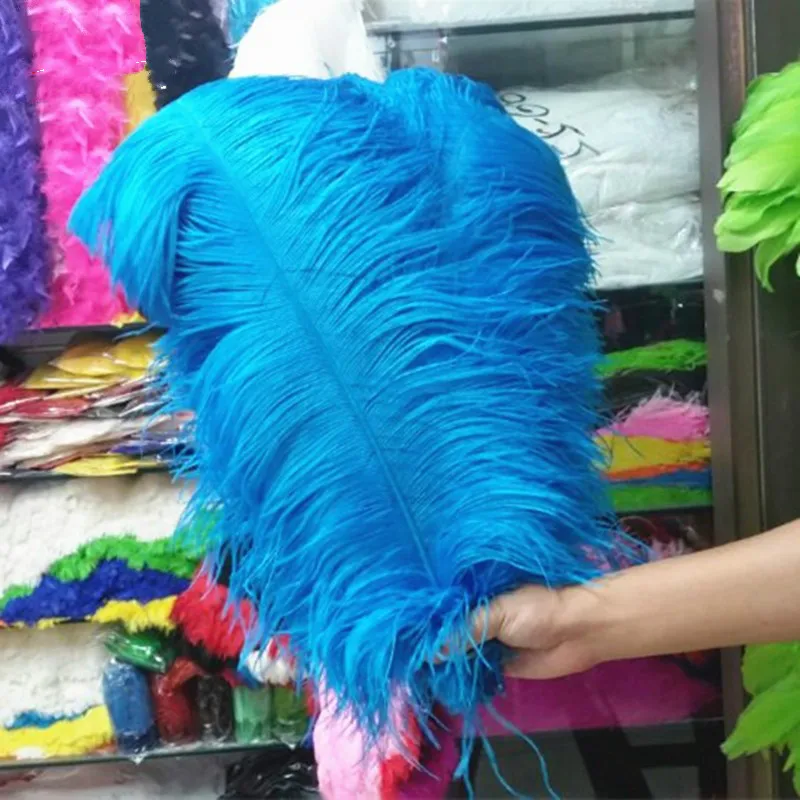 10 шт. декоративные страусиные перья 55 60 см 22 24 дюйма|ostrich feather white|ostrich featherfeather white |