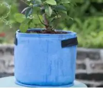 

HB-6 colors fang colors Black Thickening Fabric Pot Plant Pouch Root Container Grow Bag Tools Garden Pots Planters Supplies