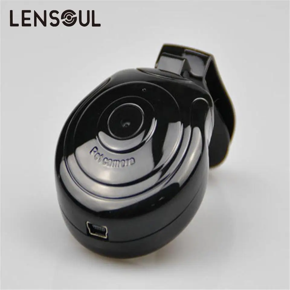 camera for puppy