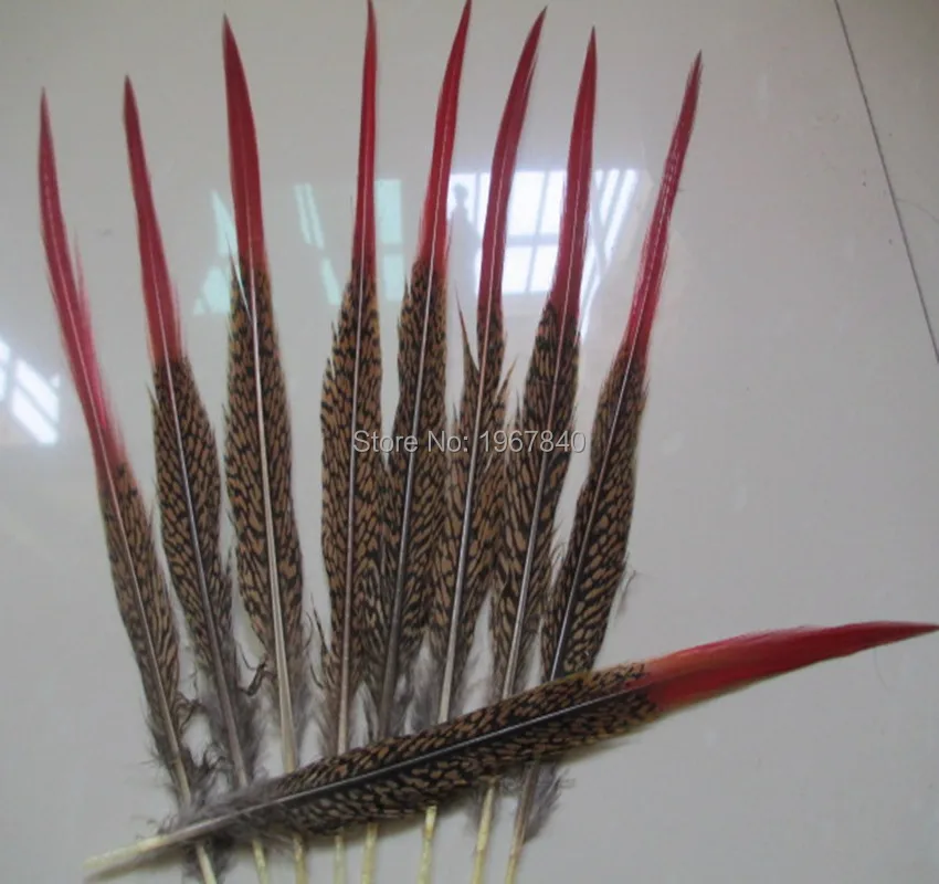 25-30 cm 5-100pcs high quality natural pheasant tail feather 10-12 inches 