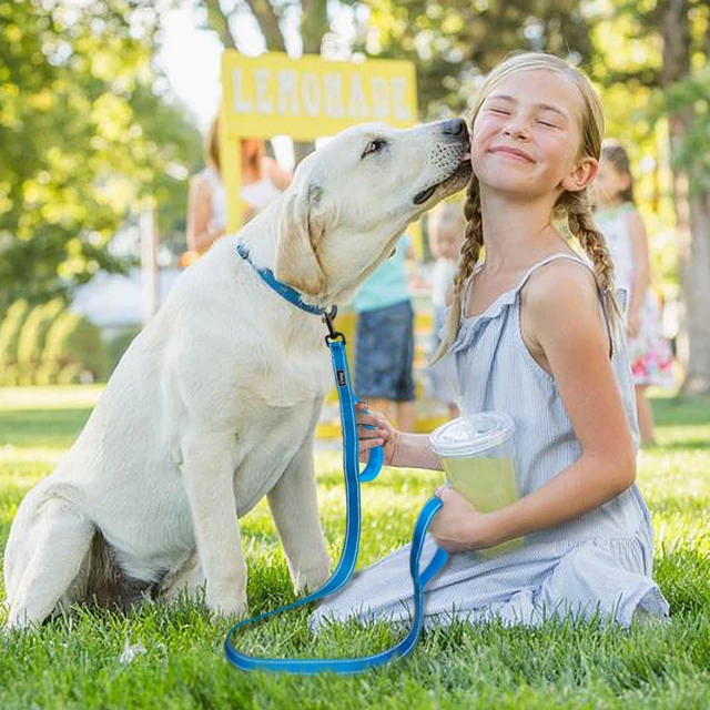 laisse pour chien réfléchissante en Nylon pour chien, 2 poignées, accessoire d'entraînement pour chiens de taille moyenne et grande – Image 6