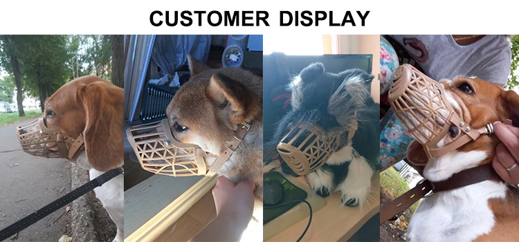 customer display