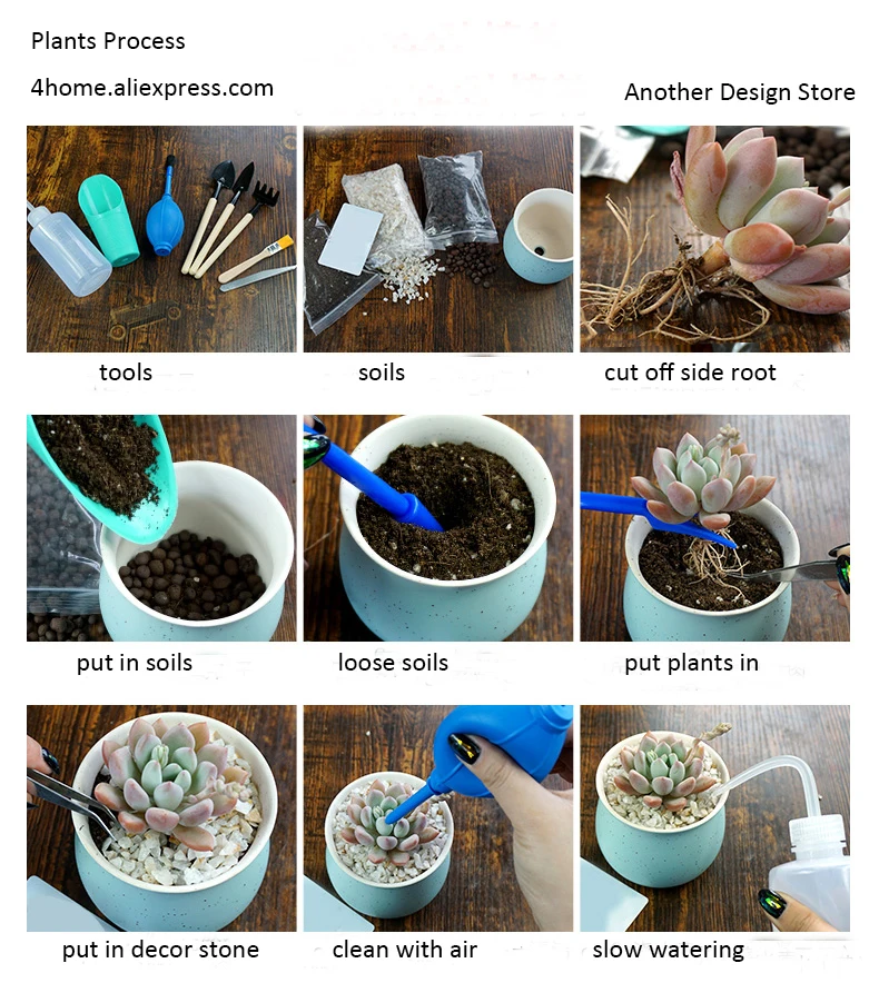 plants-process