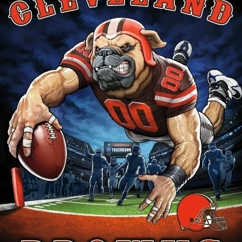 Cleveland Browns - End Zone Poster Print (22 x 34)