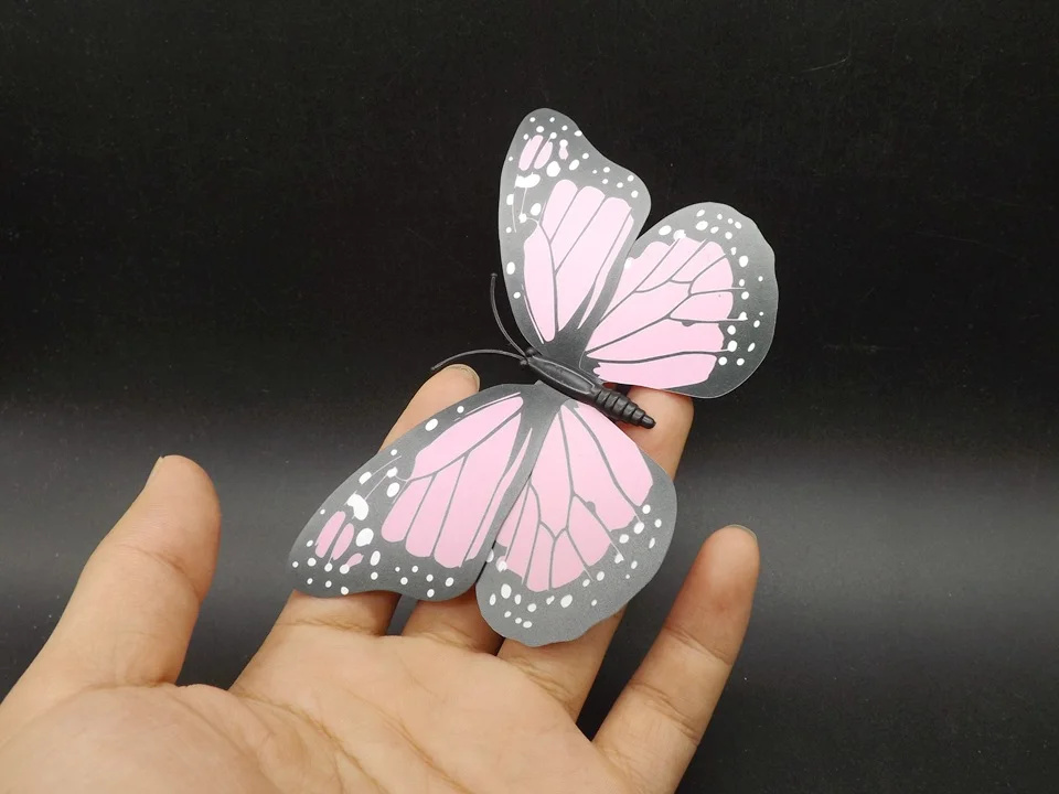 I242-Butterfly (2)