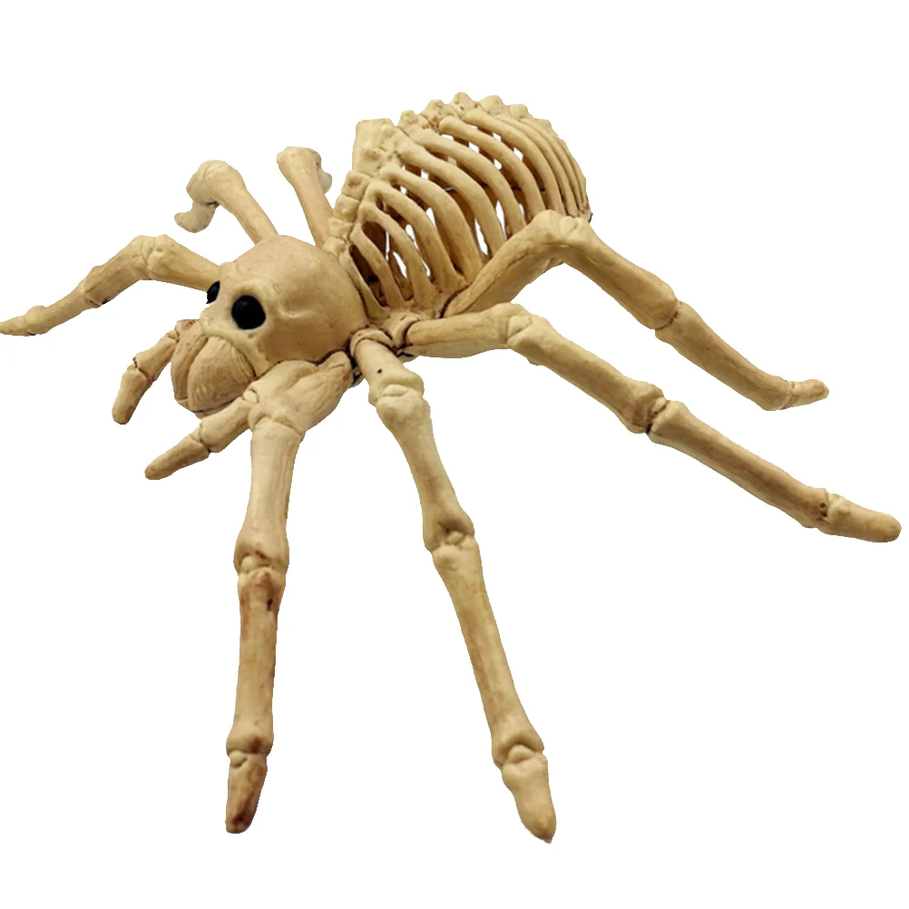 Buy Lifelike Horrified Vivid Spider Skeleton Model Toy