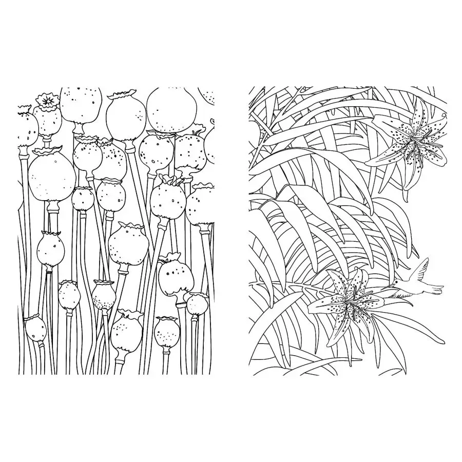 Cinese Antistress Secret Garden Libro Da Colorare Per Bambini Per Adulti Alleviare Lo Stress Graffiti Disegno Pittura Colouring Libri Regali in Cinese
