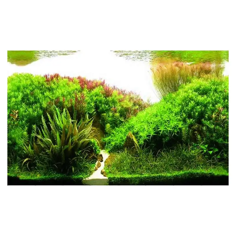 9084 19," x 48" двухстороннее украшение аквариума картина плакат задний фон для аквариума водные растения/лес