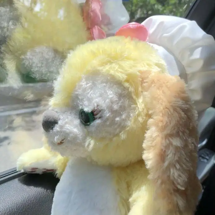 cookie the dog disney