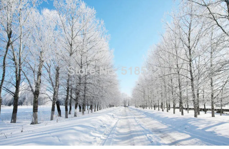 Пользовательские 3D фото обои современный зимний пейзаж снег Дорога Белый Дерево Настенная Обои Для Спальня стены murales Para сравнению